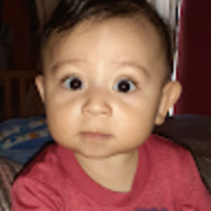 Meet your Posher, Silvia